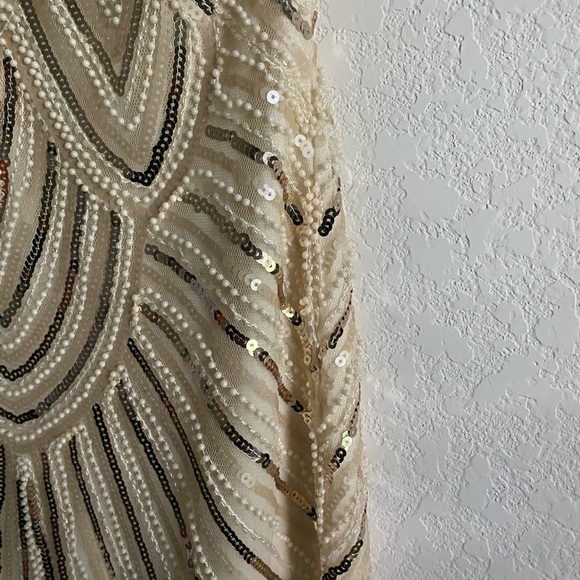 1920 Gatsby Retro. Style Beaded Sequin Fringe Cream Flapper Party Dress Size XS - Picture 14 of 16